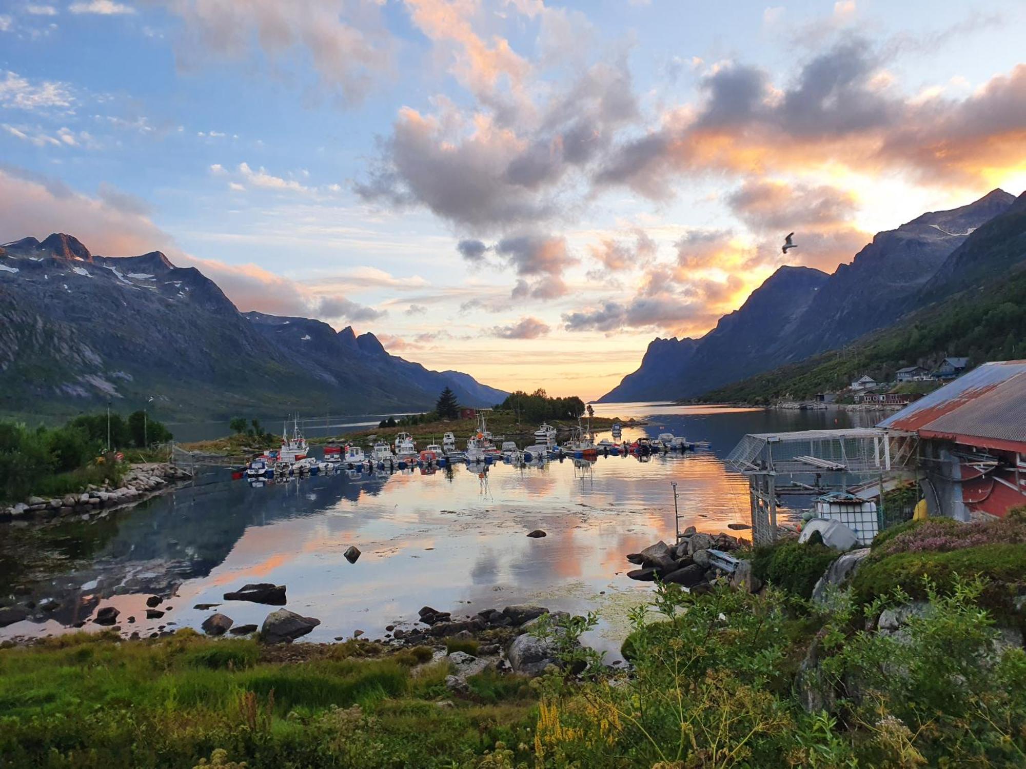 The House Of Aurora I Apartment Tromso Luaran gambar